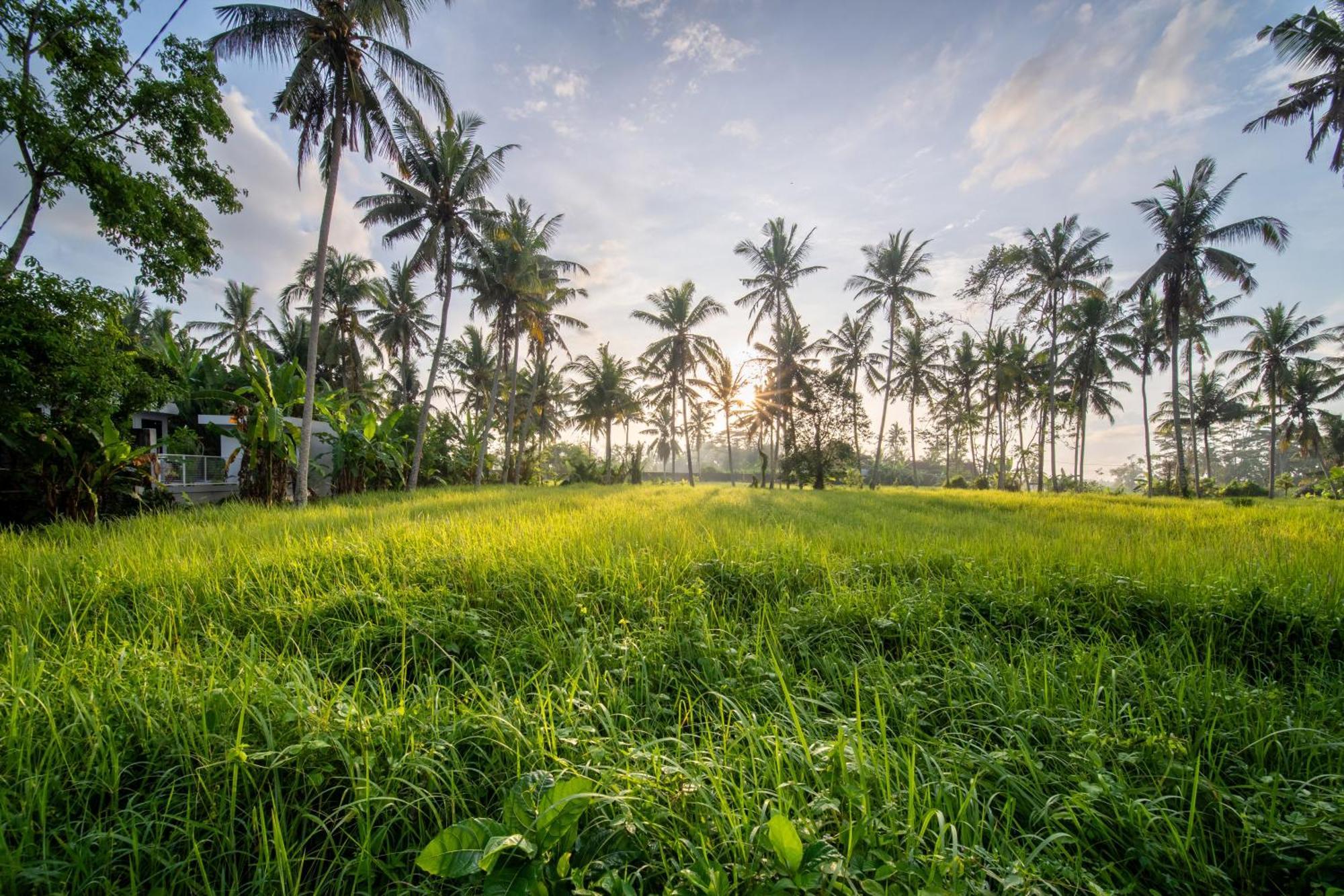 Casa Estrella - Luxe In Ubud Exteriör bild